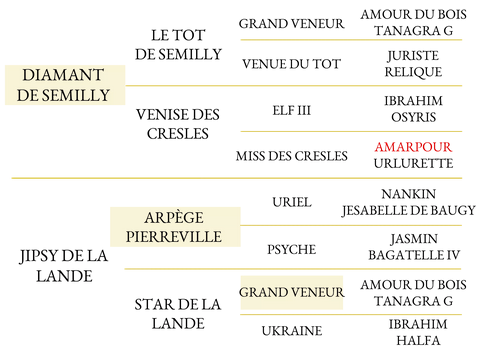 Screenshot 2025 02 12 at 09 52 07 open up haras de semilly